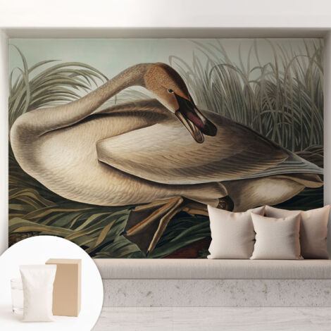 Fototapete Vliestapete mit Kleber - modern Wohnzimmer - Wanddekoration - einfach anzubringen Natürlicher Vogel 208x146 cm