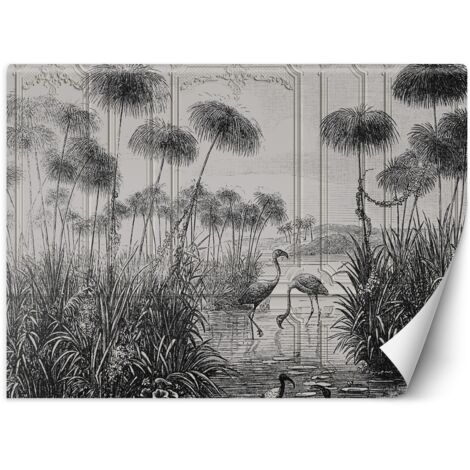 Fototapete, Vögel, Kraniche, Gras, Teich, grau – 100 x 70