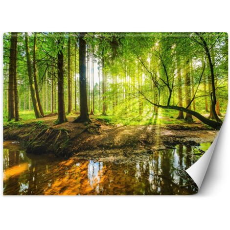 Fototapete, Wald Bach Bach Sonnenstrahlen Natur – 100x70