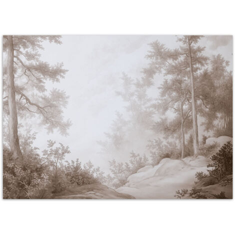 Fototapete Wald im Nebel 100x70 cm