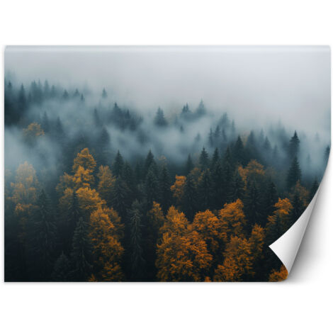 Fototapete Wald in Nebel-Landschaft 100x70 cm