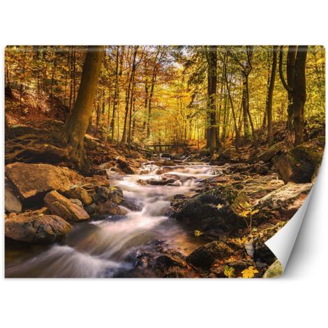Fototapete, Waldbach im Herbst – 100x70