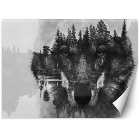 Fototapete, Waldwolf im Nebel - 100x70