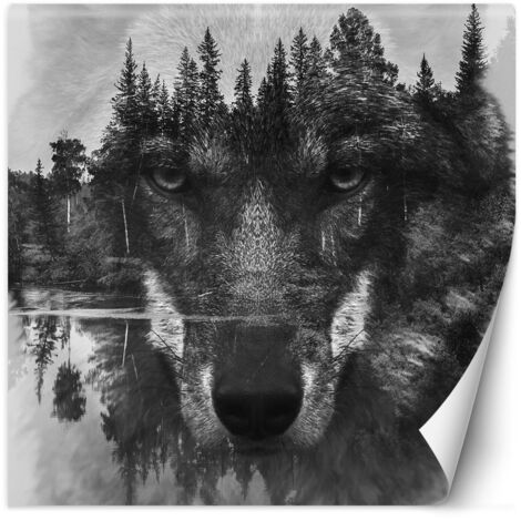 Fototapete, Waldwolf im Nebelsee – 100x100