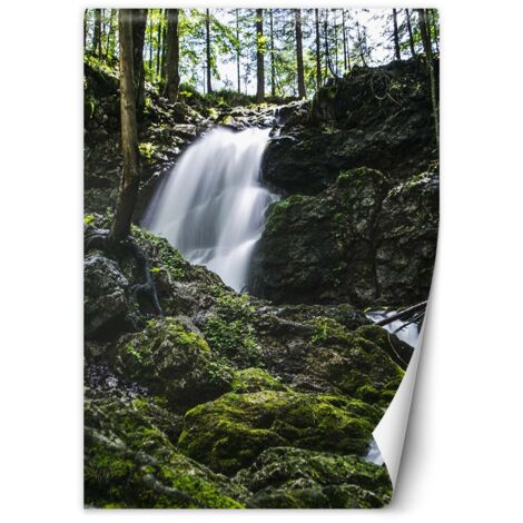 Fototapete Wasserfall im Wald 100x140 cm