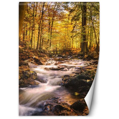 Fototapete Wasserfall im Wald 100x140 cm