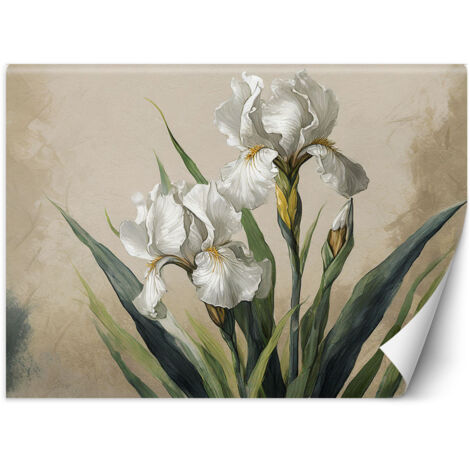 Fototapete Weiße Blumen 100x70 cm