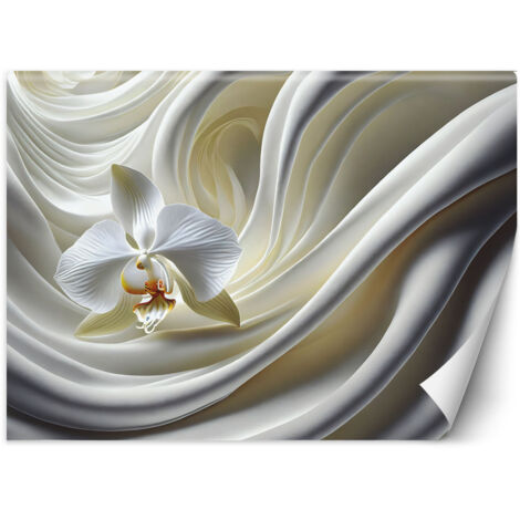 Fototapete Weiße Orchidee 400x280 cm