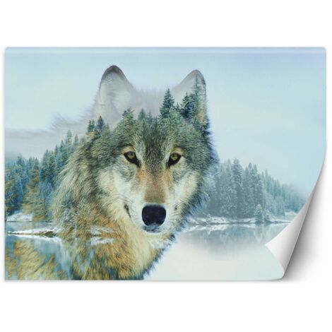 Fototapete Wolf auf einem Waldhintergrund 100x70 cm