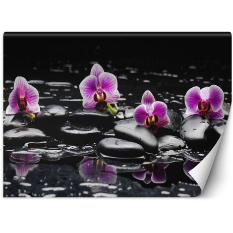 Fototapete Zen-Steine und Orchidee 100x70 cm