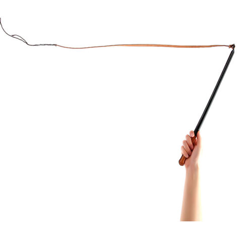 Fouet pour Dressage de Chiens Professionnel avec Manche en Caoutchouc - Matériau Cuir Imitation - Lot 1 (Couleur Aléatoire) - Dimensions: 54.5cm (Part Fouet), 62cm (Part Pointe)