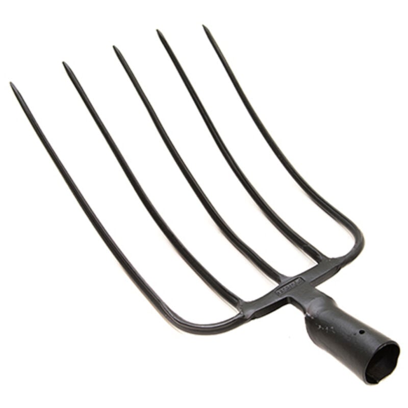 Labrador - Fourche à 5 dents sans manche h50t