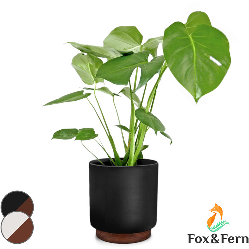 Fox & Fern Pot de Fleur Interieur, Pot pour Plantes en Polystone, Cache Pot Plante Interieur et Extérieur Résistant UV et Gel, Pot Fleur Exterieur