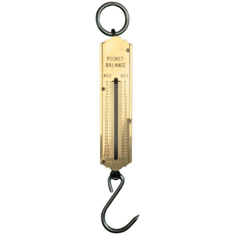 FP – Balance de poche 50kg – Cadran en fer plaqué laiton – Crochet et anneau galvanisés – Pour pesage précis d'objets lourds