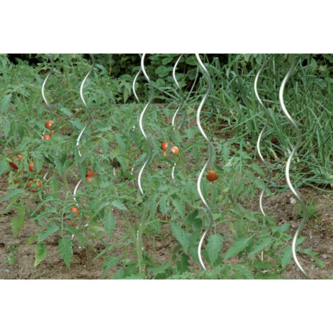 FP – Tuteur pour végétaux 180 cm en acier galvanisé – Lot de 10 – Résistant aux intempéries – Pour plantes à croissance rapide