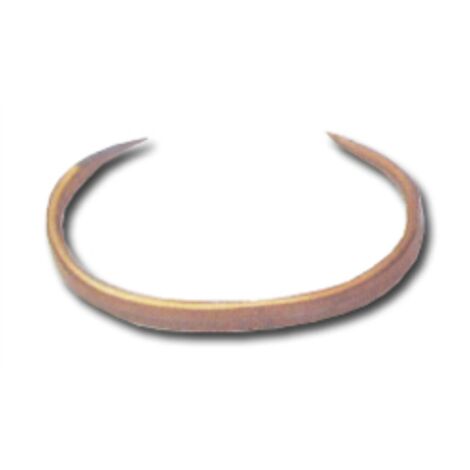 FPLUS caja  aretes planos para cerdos 1-1-4 (144 und)  27503