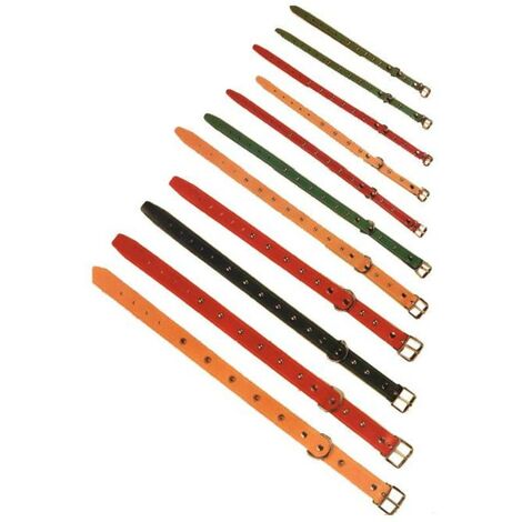 FPLUS collar perro cuero c-fornitura 650 x 40 mm 01011 , collar perro cuero c-fornitura 650 x 40 mm 01011