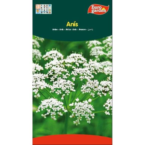 FPLUS semillas fito aromaticas anis 06761 , semillas fito aromaticas anis 06761