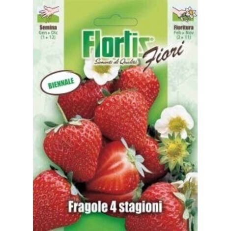 FRAGOLA 4 STAGIONI