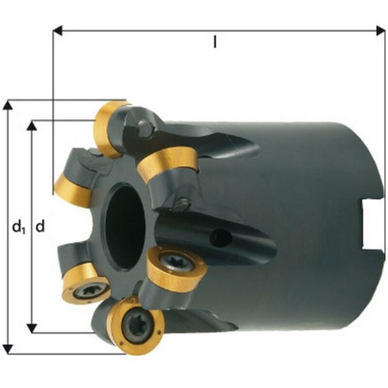 FP - Fraise à copier, à arrosage interne, ø d1 : 66 mm, Nombre de dents 6, Dimensions ø d 54 mm, ø du perçage de positionnement : 27 mm