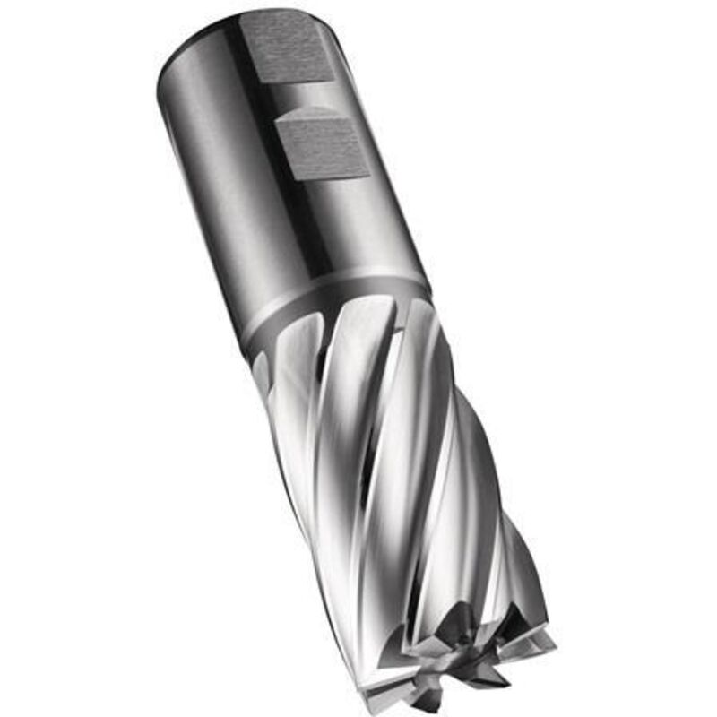 Fraise C247 din 844 k D.30mm Coupe-L.45mm hss-e-pm Brut 30 degrés Z.6 do