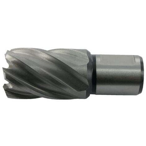Fraise HSS Ø36mm L.utile 30mm HIKOKI 754427