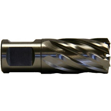 Fraise métal à trou électromagnétique HSS D. 13 x lu. 30 x di. 19 mm Q. Weldon D.19 mm