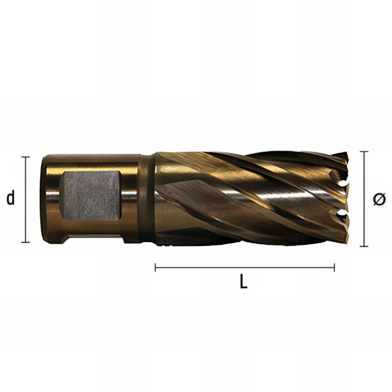 Fraise métal à trou électromagnétique hssco d. 40 x lu. 30 x di. 19 mm q. Weldon d. 19 mm