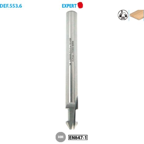 Fraise pour joint ancre HM forme ancre simple D. 5,5 mm L.U. 10 mm L.T. 60 mm Q. 6 mm - 5536.705.00 - Leman