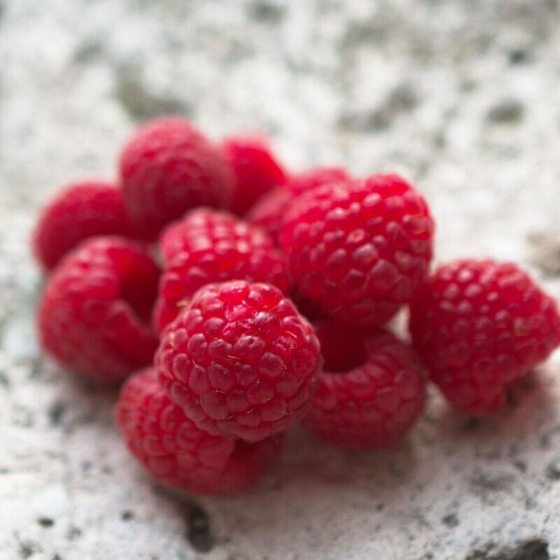 Framboisier Zeva/Pot de 3L