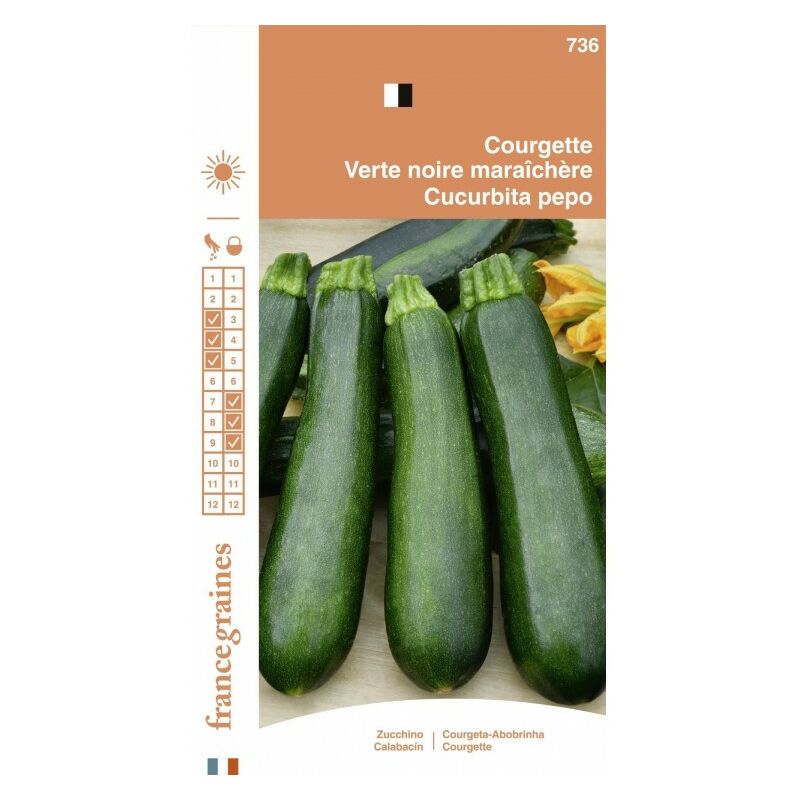 France Graines - Courgette Maraichère