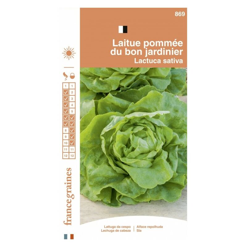Laitue Pommée Bon Jardinnier - France Graines