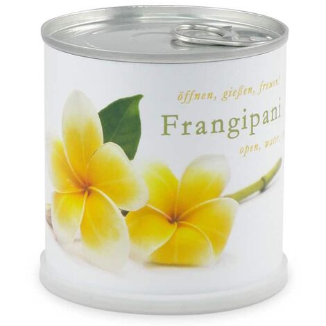 Frangipanier à faire pousser en boite. Multi. Marque : Mac Flower's. Réf. : 771322