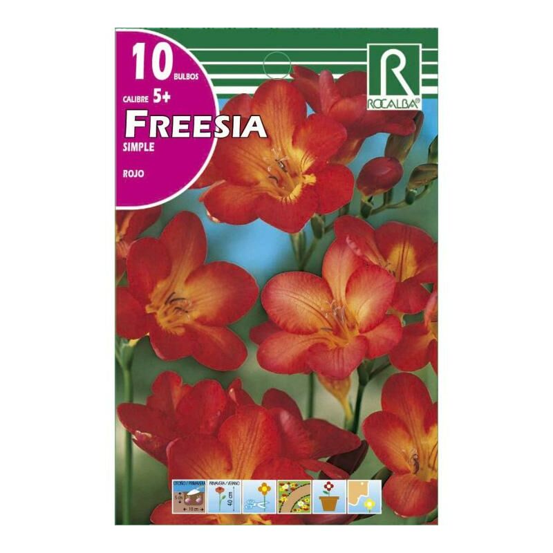 

Freesia Simples -Rojo