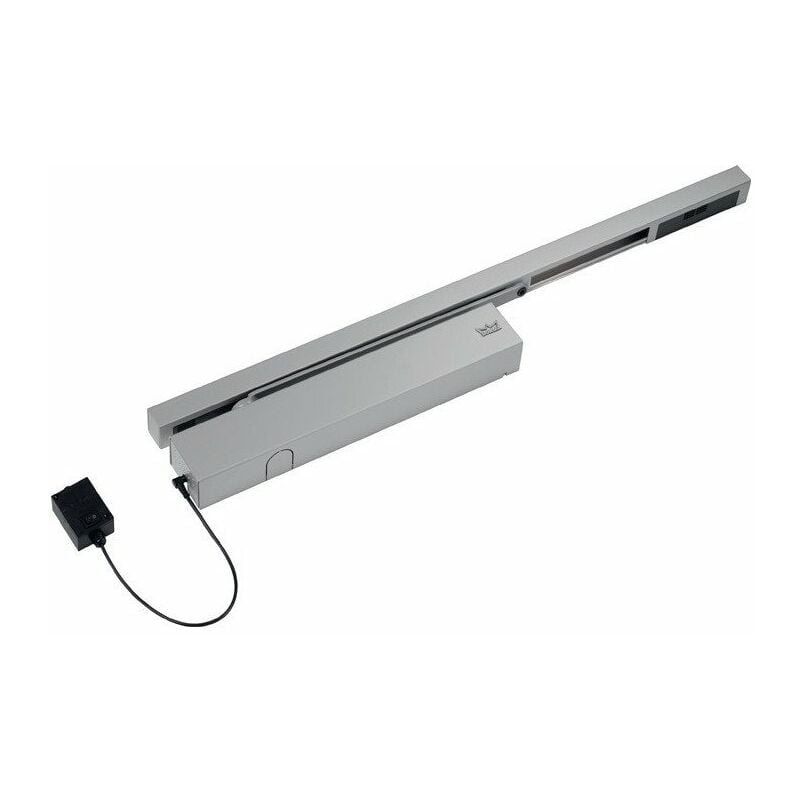 

Freil.-Sliding-TS TS 99 FLR-K bandas de montaje normal EN 2-5 plateado EN 2-5 DORMAKABA
