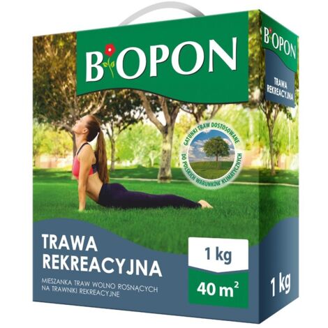 FREIZEITGRAS 1 KG - BR BIO-1112