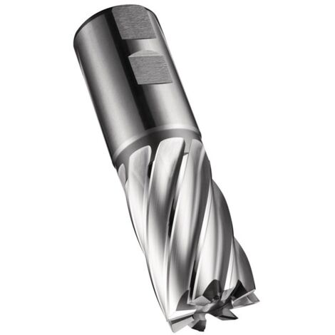 Fresa a candela C247 DIN 844 K D.40mm con taglienti - lunghezza 63mm HSS-E-PM vuoto 30° Z.6