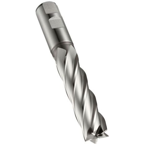 Fresa a candela C273 DIN 844 L D.40mm con taglienti - lunghezza 125mm HSS-E-PM vuoto 30° Z.6