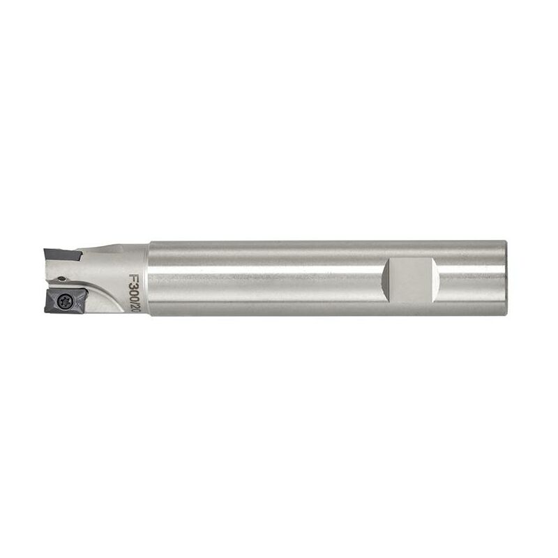 Fervi - Fresa a inserto f300/32/16l