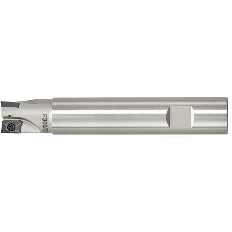 Fresa a inserto Fervi f300/22
