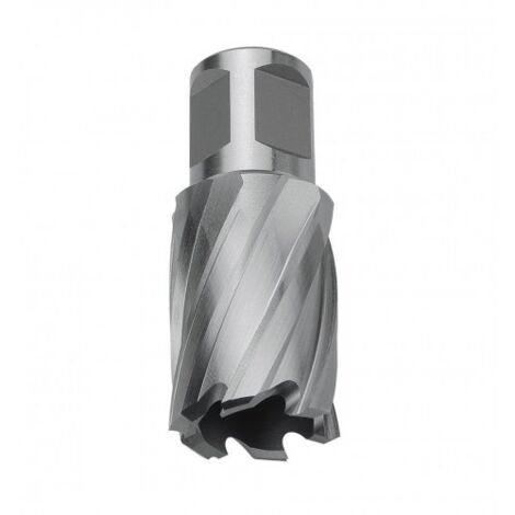 FRESA P/BASE ELECTRO. 250R HSS D.19 MM - CELESA