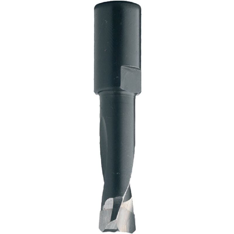 CMT 380.040.11 FRESA PER DOMINO DF500 FESTOOL HWM Z2 S=M6x0.75 D=4x11x38 DX, nero