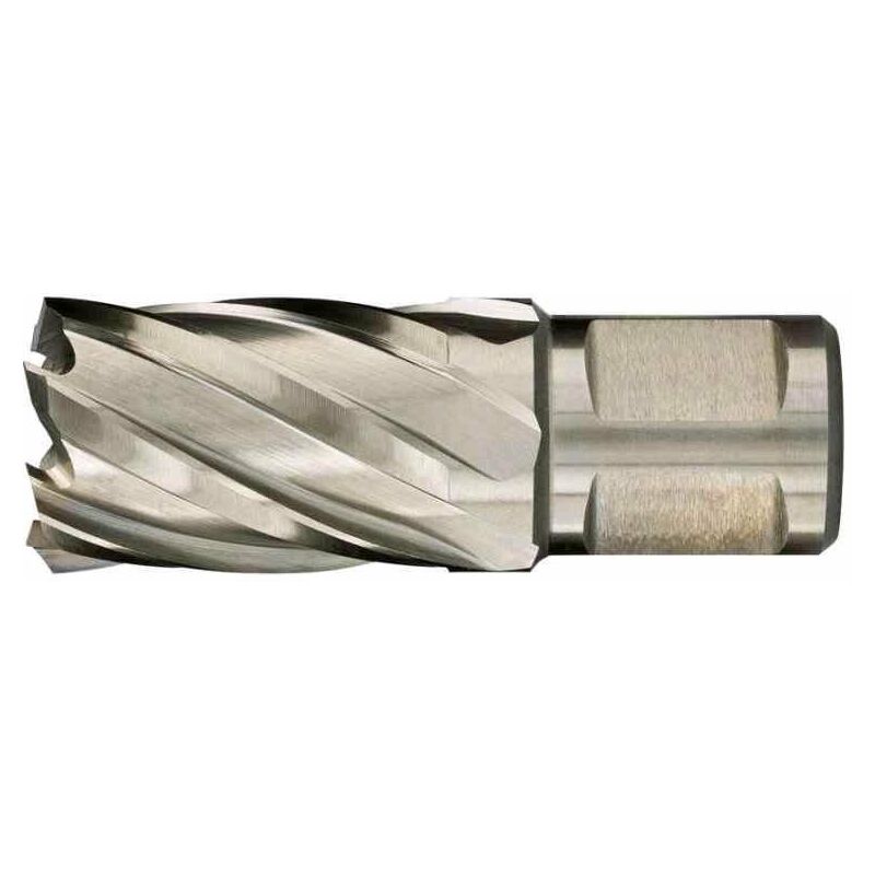 

Fresa Corta Hcs 290