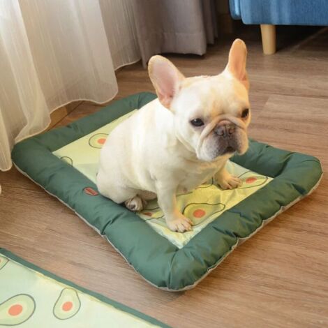 fresca cuccia in seta, accessori per dormire per cani e gattini, accessori per animali domestici, cuccia estiva arancione