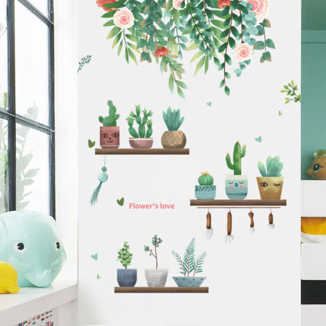 Frische grüne Pflanzen, Sukkulenten, Blätter, Topfblumen, Schlafzimmer, Por