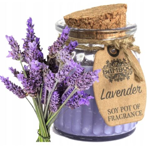 Frischer Soja-Lavendel-Duft