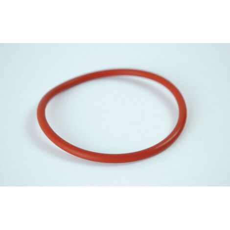 Frisquet – Joint de trappe pour Hydroconfort – Étanchéité optimale – Installation par professionnel – Référence F3AA40754