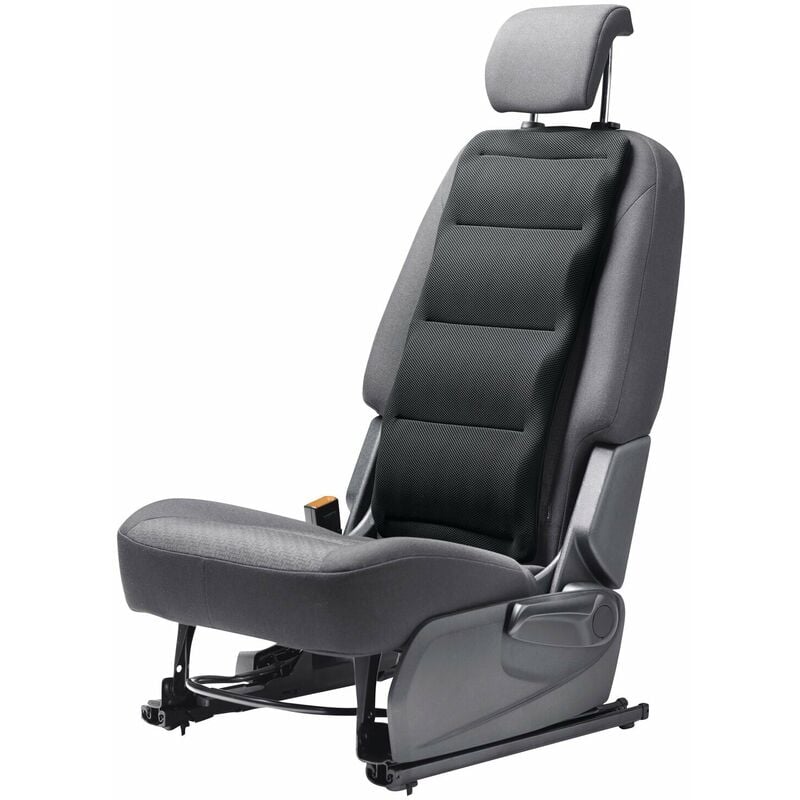 Coussin de soutien dorsal FROLI