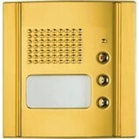 Frontale Fonico 2 Pulsanti Di Chiamata Allbrass Sfera ( BTICINO cod. 333125 )