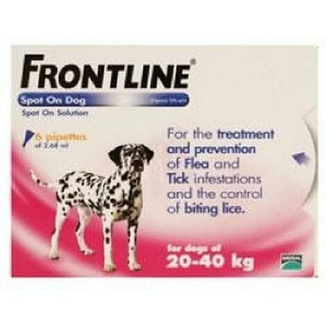 Frontline Spot On Large Dog 20-40kg (6Pipettes) x 1 (20051)